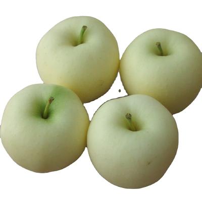 China Fresh Chinese Fresh Golden Delicious Apple for sale