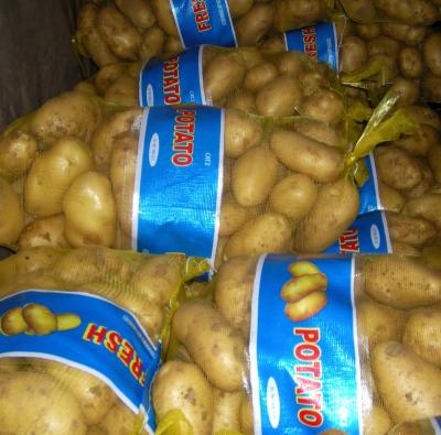 China New fresh high quality potato for sale