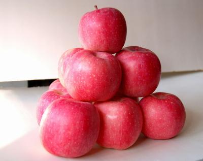 China Penglai-Yantai Fresh Paper Bagged Fuji Apple for sale