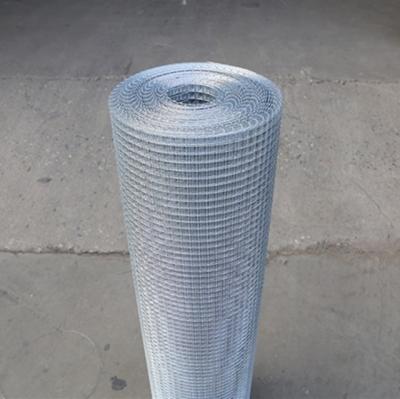 China Construction Galvanized Or PVC Coated Factory Direct Sale Chicken Mesh for sale