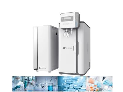 China 20 l/h 200 ppm Ultra-reine Umkehrosmose-System Osmose-Wassermaschine für Pestizide zu verkaufen