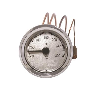 China Widely Decorative Outdoor Precision Thermometer Fever for sale