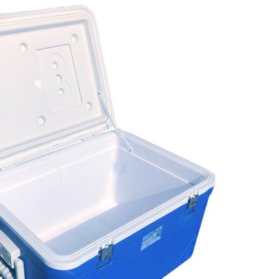 China Custom Insulated 50L Ice Cooler Plastic Insulated Cold Box For Outdoor Picnic for sale