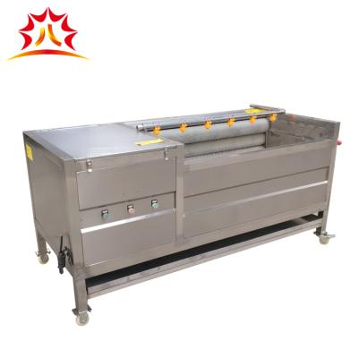 China Easy Operation Sweet Potato Washing And Peeling Machine Potato Brush Peeling Machine for sale