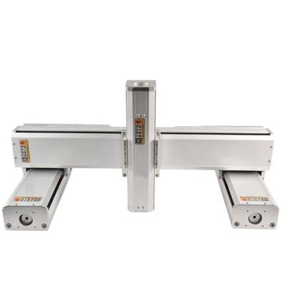 China Gantry Type Heavy Load Factory Multi Axis Linear Guide Linear Motion Dust Proof Linear Actuators for sale