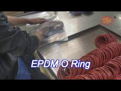 Different Color Encapsulated EPDM O Rings Sealing Outside Carton Packging