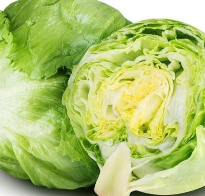 China The hottest fresh and delicious China clean cabbage is on sale, welcome to buy for sale