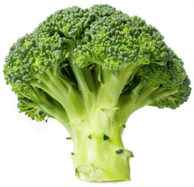 China IQF Large Bulk Green Broccoli Fresh Vegetables From China for sale