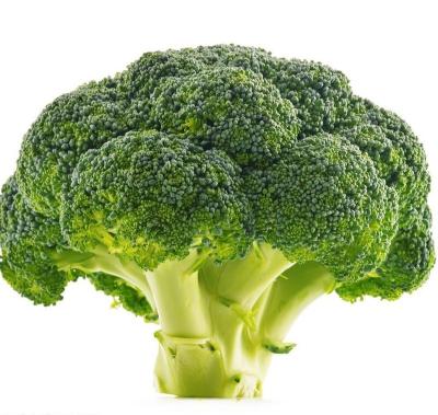 China Export Lush Fresh Cruciferous Vegetable International Certified Fresh Green, Nutritious Broccoli for sale