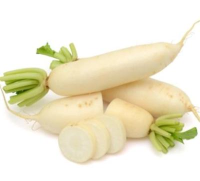 China 2022 fresh new season fresh vegetable export and international certification fresh vegetable white radish for sale