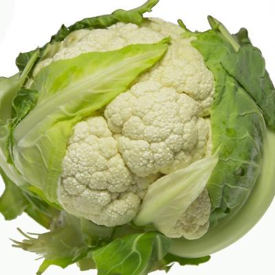 China Fresh Inexpensive Clean Cauliflower Fresh From The Factory for sale