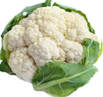 China Cauliflower Fresh Vegetables, Carton Fresh Cauliflower General Wholesale Quality Packaging for sale