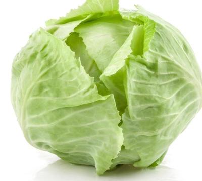 China Fresh factory direct commercial round cabbage comes from China for sale