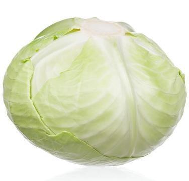 China Fresh factory direct commercial fragrant and crunchy cabbage comes from China for sale