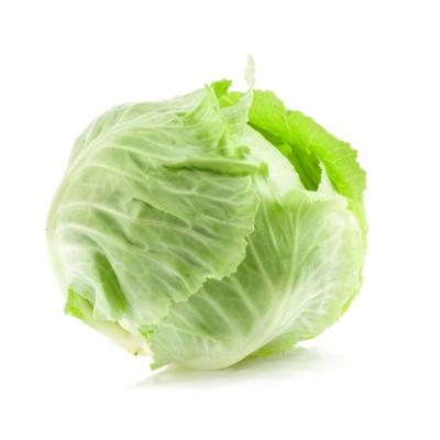 China Factory outlet most popular pure natural green vegetable fresh cabbage for sale