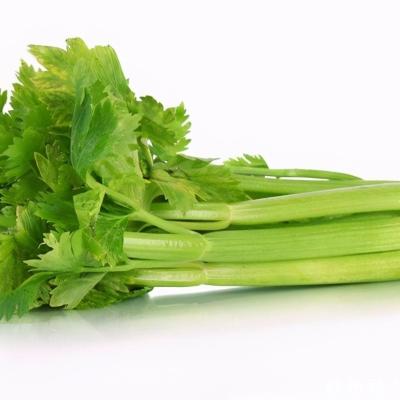 China China Juicy Grade Celery Wholesale Fresh Vegetables for sale