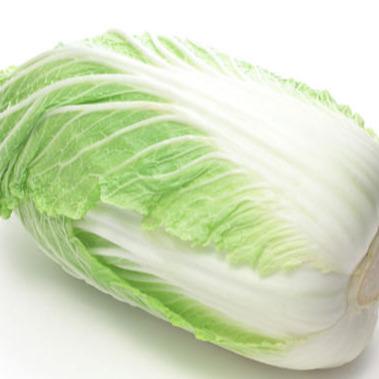 China Best Fresh Selling Vitamin Rich White Fresh Chinese Cabbage at Best Price for sale