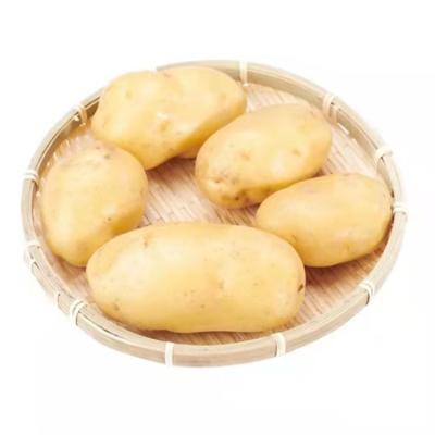 China High quality, unpolluted, thin fresh potatoes with best price for sale