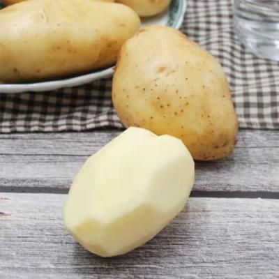 China China sales promotion fresh delicious unpolluted potato for sale