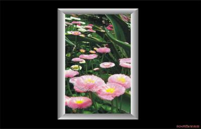 China Colorful Frame Waterproof Led Backlit Light Boxes , Outdoor Lighted Box Signs for sale