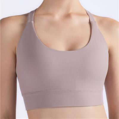 China Breathable High Quality Colors Sports Plus Size Workout Apparel Ladies Hot Workout Bra for sale