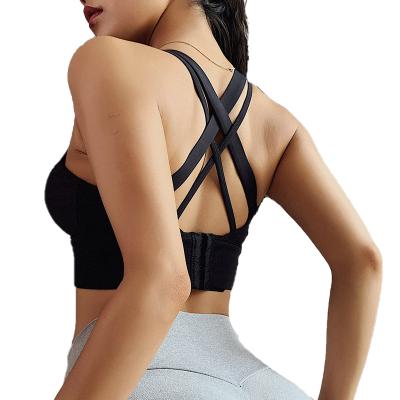 China Other Quick Dry Plus Size Sports Underwear Fitness Wear High Strength Yoga Bra For Women for sale