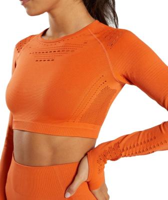 China Breathable Gradient Ramp Athletic Wear Hollow Out Crop Tops T Shirts Women Print Crop Top for sale