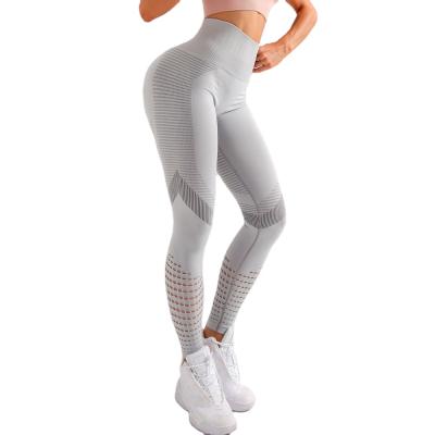 China Women Mesh Breathable Fitness Clothing High Waist Fitness Sweat Track Jogger Pants for sale