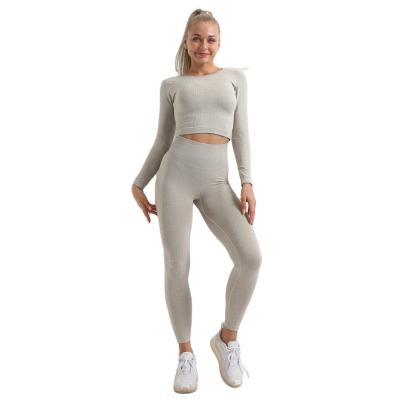 China Breathable Long Sleeve Sporty Two Piece Set Women Clothing Pants Yoga Set Seamless Yoga Set for sale