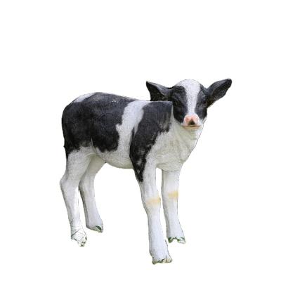 China Hot Selling Modern Outdoor Animal Fiberglass Resin Animal Life Size Animal Fiberglass Farmhouse Garden Park Garden Europe Selling Black And White Cow Sculpture for sale