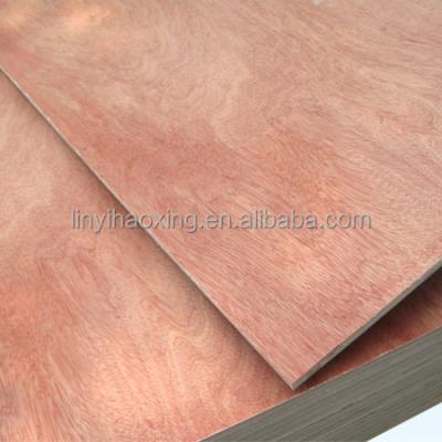 China 1220*2440MM bintangor face/back eucalyptus core plywood for sale