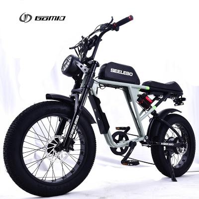 Chine Vélo à pneus électriques 500w 750w 1000w 20*4.0 pouces Moto électrique Cycle Ebike High Power Hub Motors à vendre