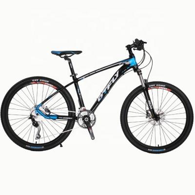 China Comfortable swallow handlebar Mountain bicycle bycycle 29 Inch aluminium alloy mountain bike for your outdoor adventures for sale