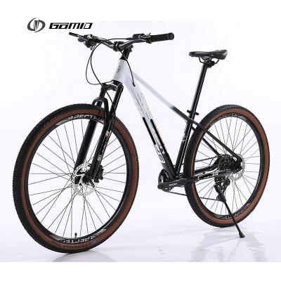 China Aluminum Alloy Rim Mountain Bike Gear Cycle Hydraulic Groupset 10 12 Speed MTB Bike 29 Inch Bicycle Custom OEM Bicicleta for sale