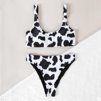 China 2022 New Cow Style Breathable Cloth Swimwear Girl's Swimwear Special Beach Wear Two Pieces Swimsuits In Stock for sale