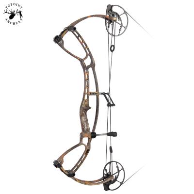 China Topoint Archery Daibow TACHYON Compound Bow Hunting, Bowhunting Compound Bow for Left and Right Handed for sale