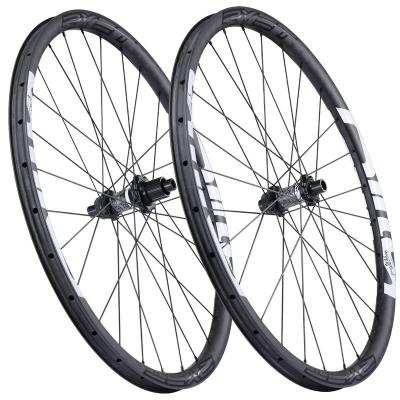 China Mountain Bikes 2021 29er RYET 12S MTB READY WHEELSETS 28H XC width 15*110MM TUBLESS WHEELSETS 28H XC 29er 12S 29er 12S WHEELSETS READY to race for sale