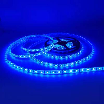 China Hotel LED Strip RGB Light Factory Outlet SMD 5050 Colorful Decoration IP65 12V Max Waterproof Luminous White Body Lamp Copper Power for sale