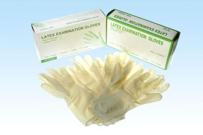 China Single use medical  good quality latex exam gloves OEM Powdered & powder free for sale