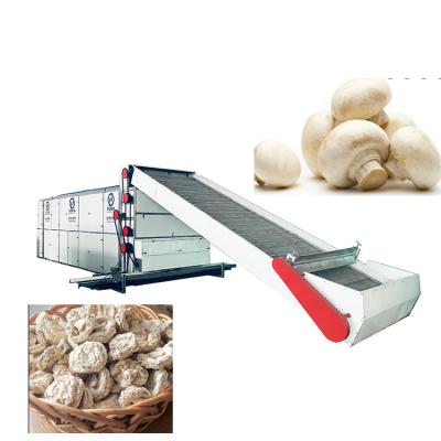 China High Efficiency Low Investment Fruit And Vegetable Dryer Black Fungus Dryer Cashew Nuts Drying Machine for sale