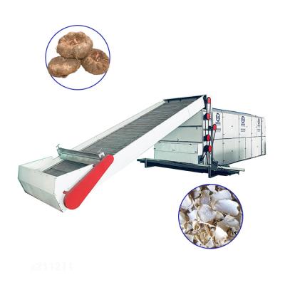 China High Efficiency High Capacity Green Tea Dehydrator Yam Drying Machine for sale