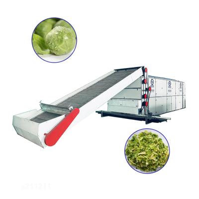 China High Efficiency Stable Performance Hot Air Recycling Drier Cucumber Foodstuff Drying Machine for sale