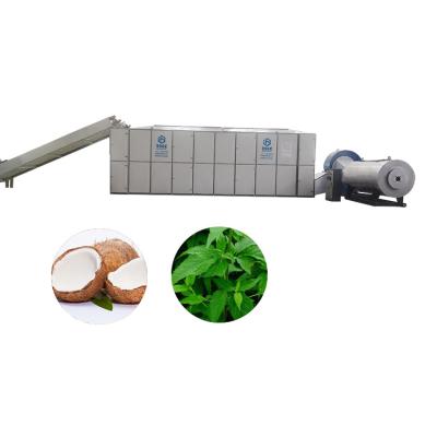 China High Efficiency Fruit Processing Machinery Hot Air Food Dryer Kale Coconut Flesh Drying Machine for sale