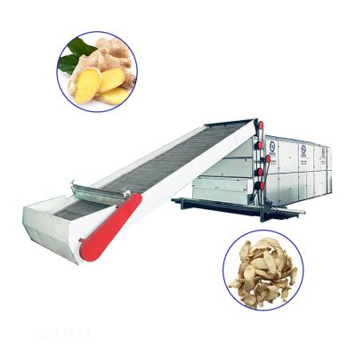 China High Output Fresh Ginger Hot Air High Capacity Capacity Fruit Vegetable Drier Machine Fruit Vegetable Dehydrator for sale