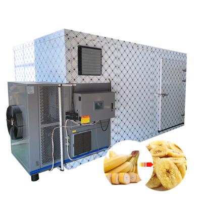 China Medicine Curing Stable Performance Papaya Banana Slice Drying Machine Beef Shake Dryer Room for sale