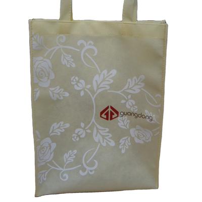 China FREE SAMPLE High Quality Customized Printing Guangzhou Manufacturer Supply Logo Nonwoven Shopping Bag For Promotion Gift for sale