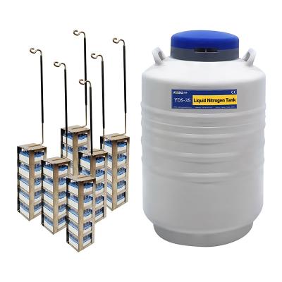 China farm liquid nitrogen container 35L Caliber 125mm semen container for sale