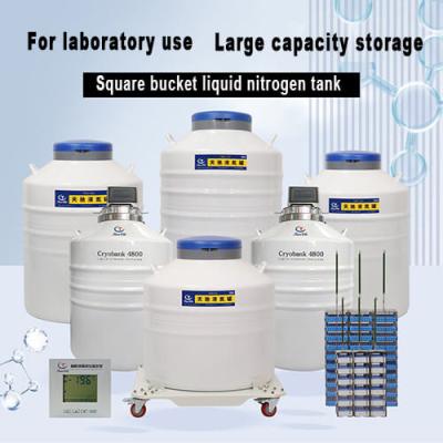 China Chile liquid nitrogen dewar for cell storage KGSQ cryogenic tank manufacturers for sale