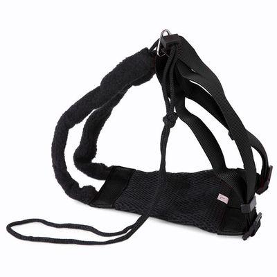 China 2021 Sustainable Hot-selling New Pet Supplies Dog Leashes Chest Harness Invests Medium and Large Dog Leashes for sale