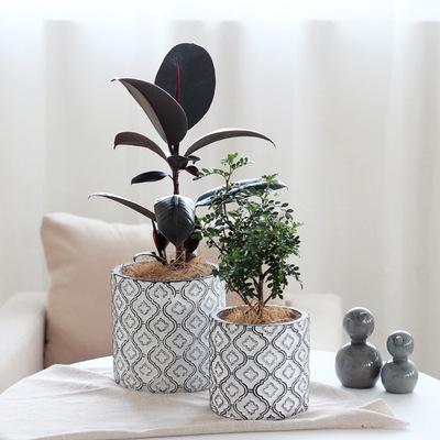 China Europe Balcony Indoor Outdoor Nordic Cement Cheap Flower Pots And Planters For Home Decor for sale